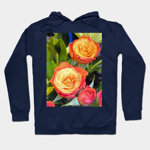 Colourful Tea Rose Hoodie by pinkal